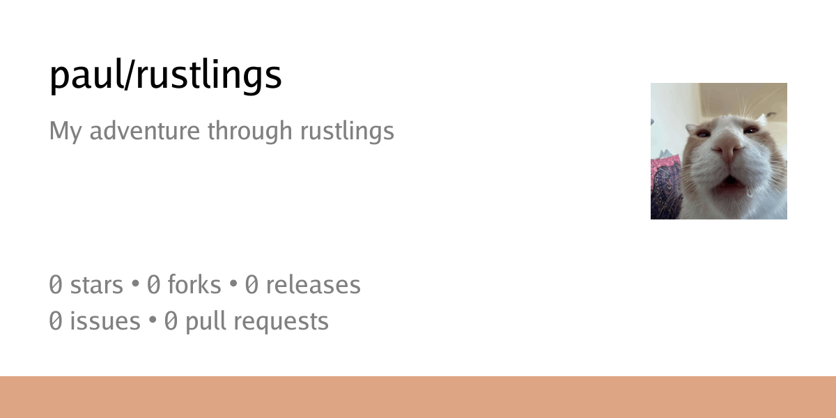 paul/rustlings: My adventure through rustlings - OPWorks Forgejo ...